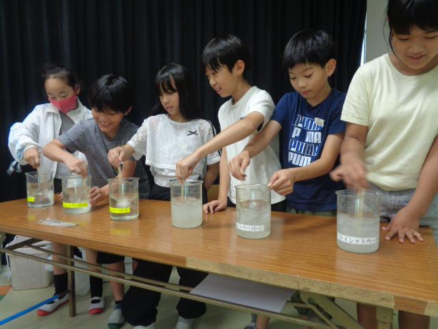 DSC00842.JPG