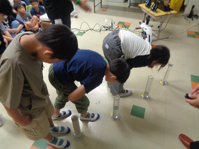 DSC00845.JPG