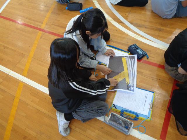 DSC00866.JPG