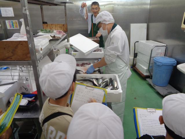 DSC00920.JPG