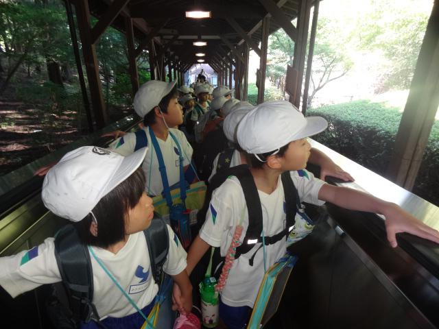 DSC02485.JPG