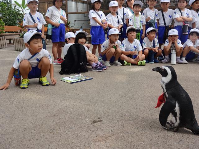 DSC02495.JPG