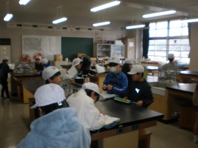 P1010084.JPG