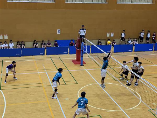 4238898b-11ba-4acc-8847-518abf15fa69.jpg