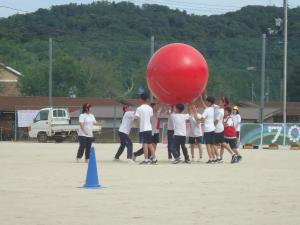 DSC02737.JPG