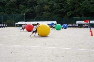 DSC09100.JPG