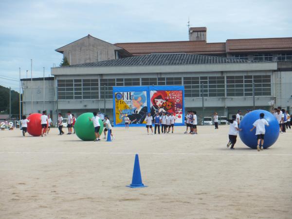 DSCF3883.JPG