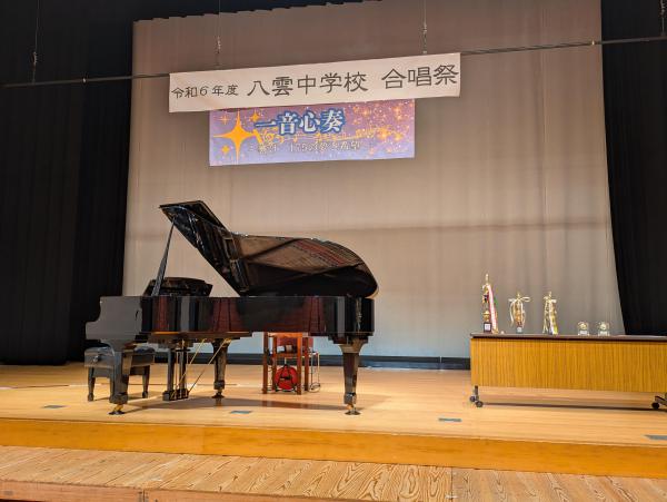 PXL_20241101_042536293.jpg