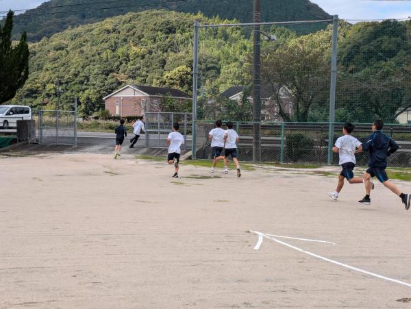 PXL_20241107_022714290.jpg
