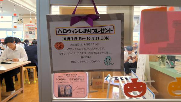 WIN_20241018_08_33_23_Pro.jpg