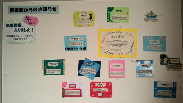 WIN_20250313_10_29_21_Pro.jpg