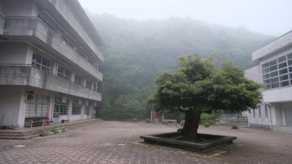 DSCF6540.JPG