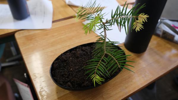 DSCF7526.JPG