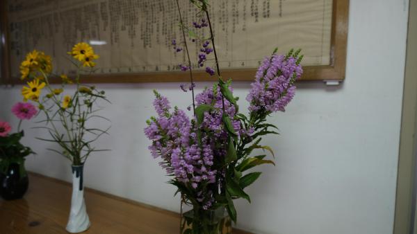 DSCF8300.JPG