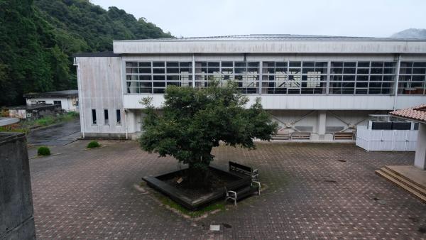 DSCF8339.JPG
