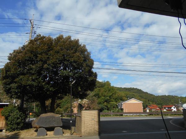 6_DSCN0288.JPG