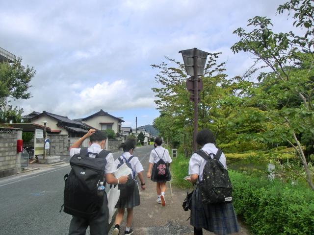 CIMG6377.JPG