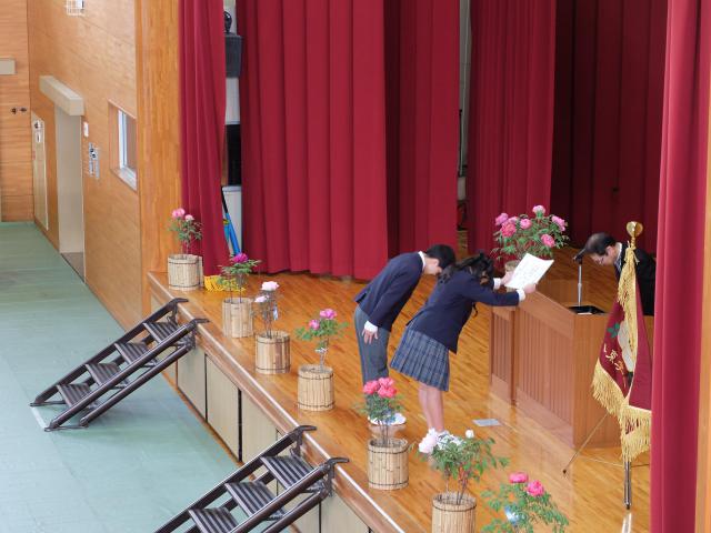 DSCF4101.JPG