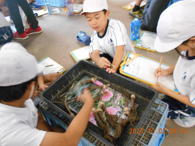 DSCN4023.JPG