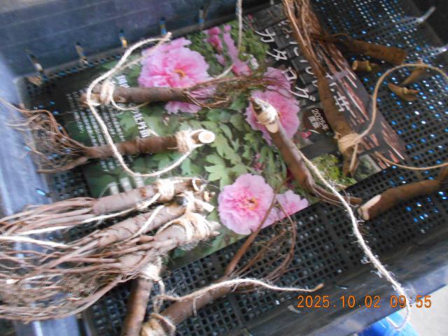 DSCN4032.JPG