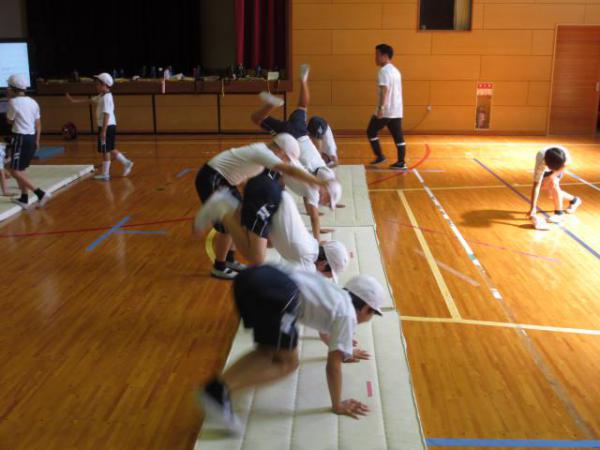IMG_2990.JPG