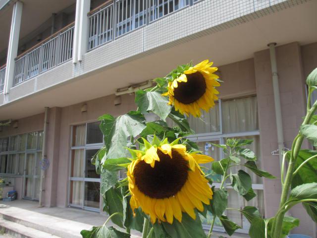 IMG_3620.JPG