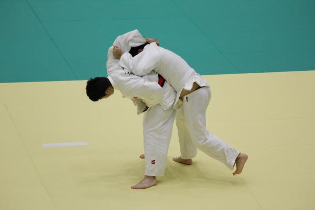IMG_4884.JPG