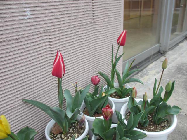 IMG_5940.JPG