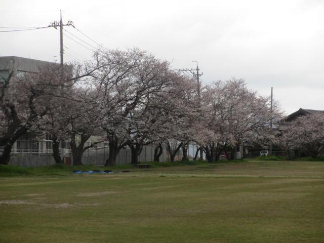 IMG_5958.JPG
