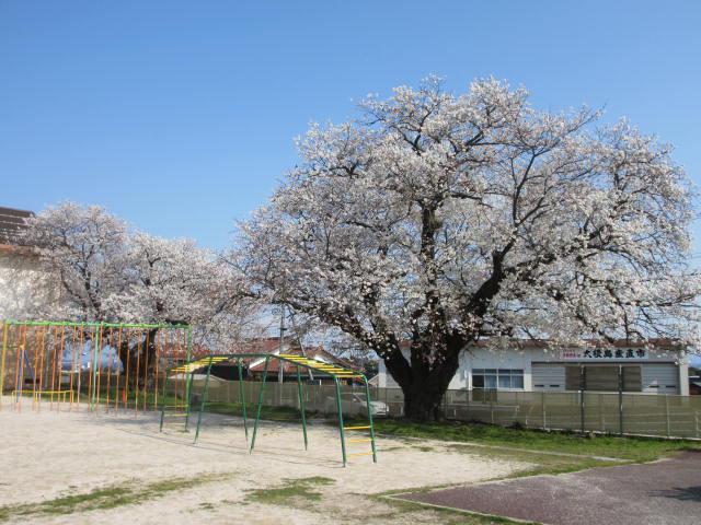 IMG_5963.JPG
