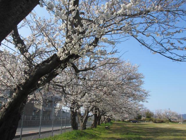 IMG_5973.JPG