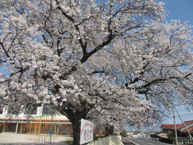 IMG_5998.JPG