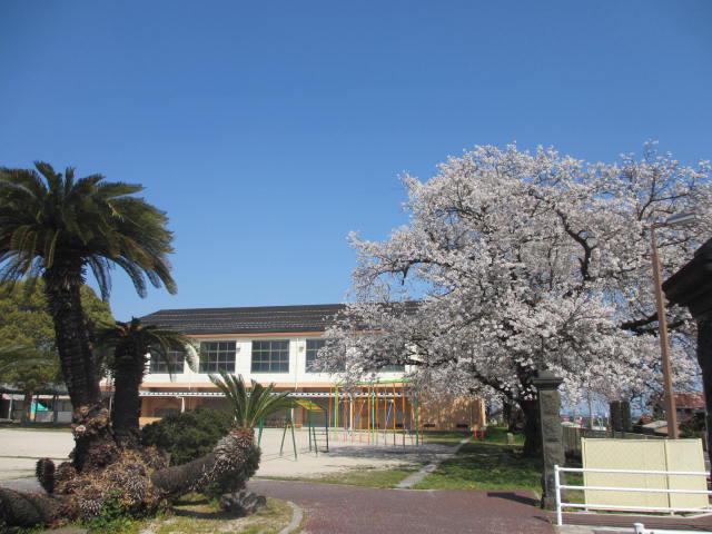 IMG_6000.JPG