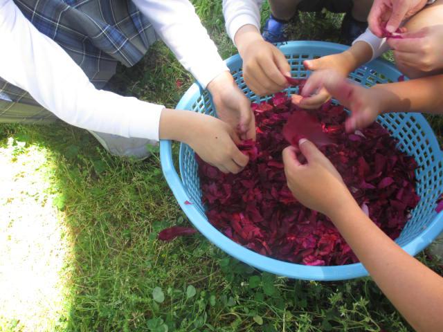 IMG_6320.JPG