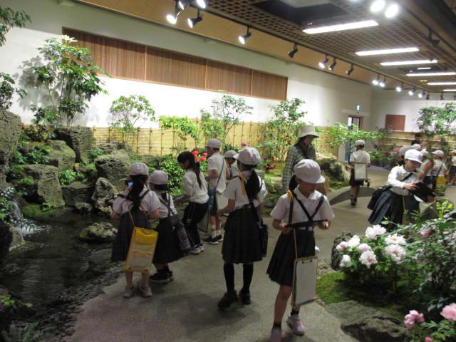 IMG_7075.JPG