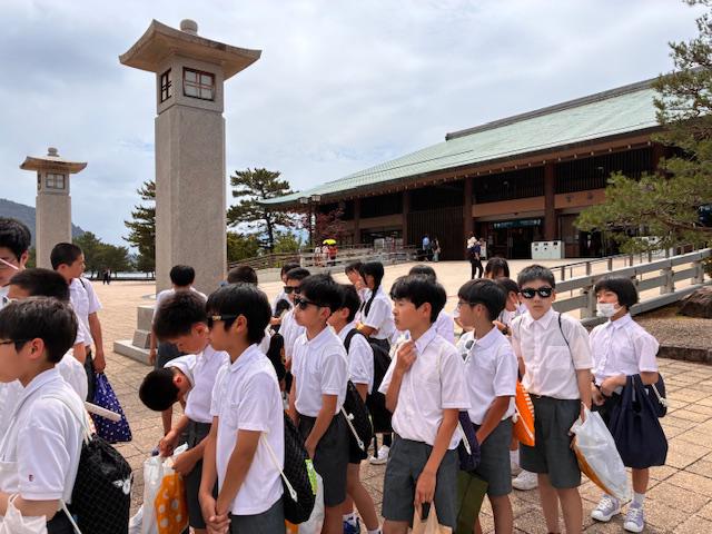 image4.jpeg