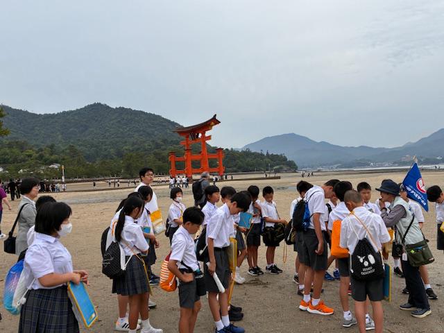 image5.jpeg