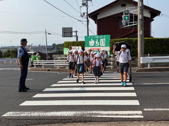 image8.jpeg